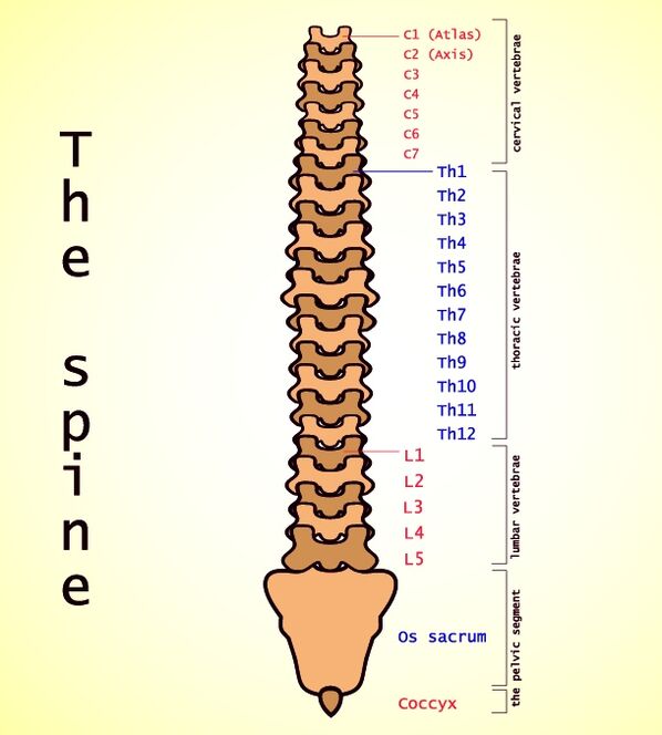 паяснічны астэахандроз